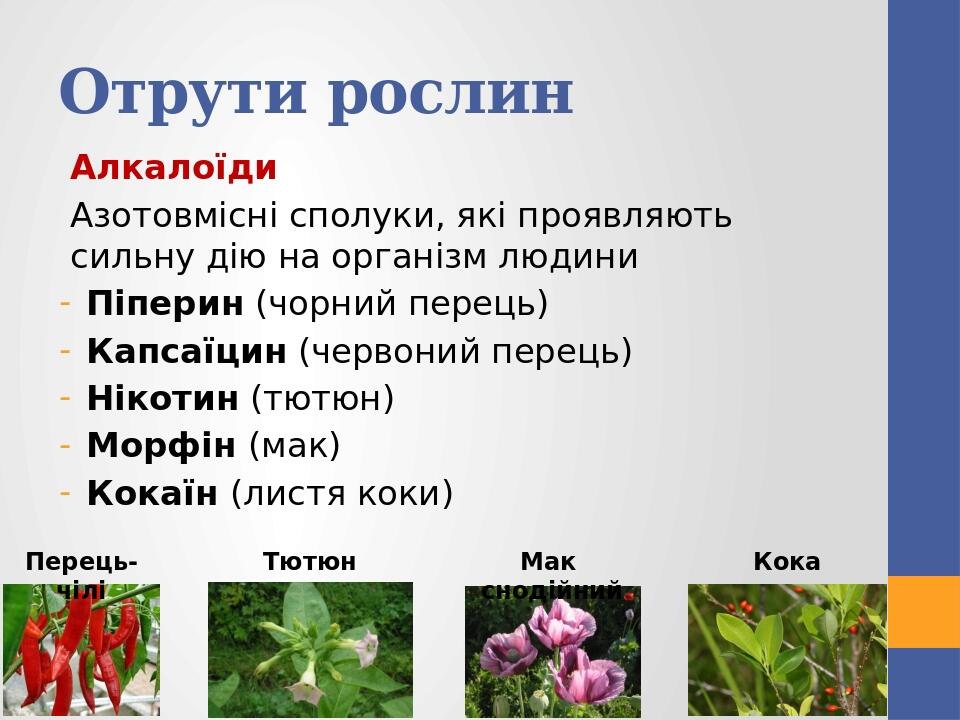 Отрути рослин Алкалоїди Азотовмісні сполуки, які проявляють сильну дію на організм людини Піперин (чорний перець) Капсаїцин (червоний перець) Нікот...