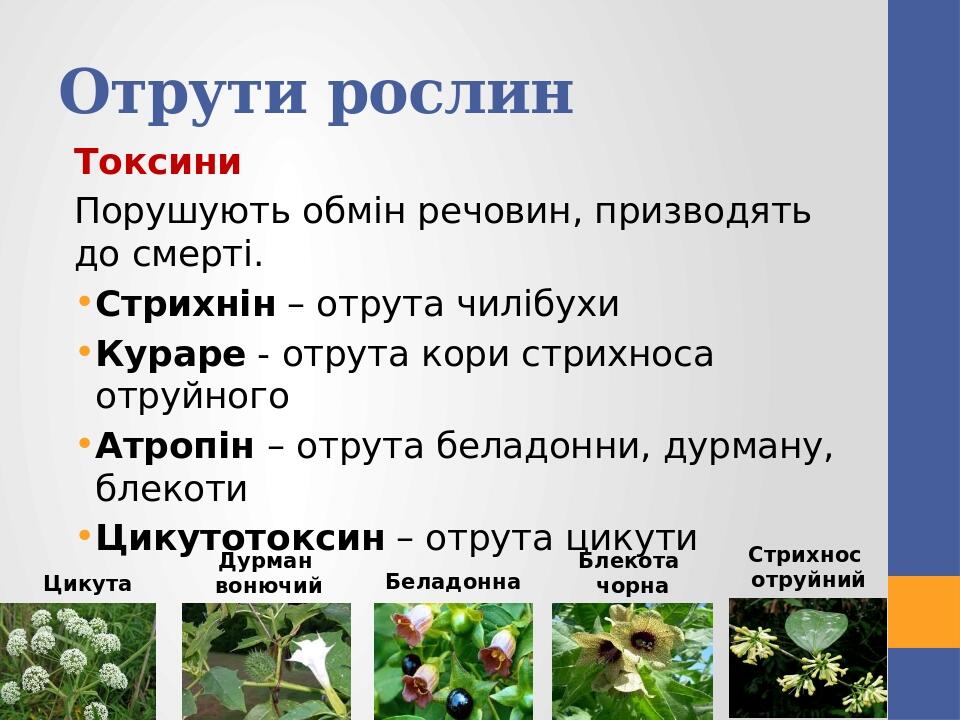 Отрути рослин Токсини Порушують обмін речовин, призводять до смерті. Стрихнін – отрута чилібухи Кураре - отрута кори стрихноса отруйного Атропін – ...