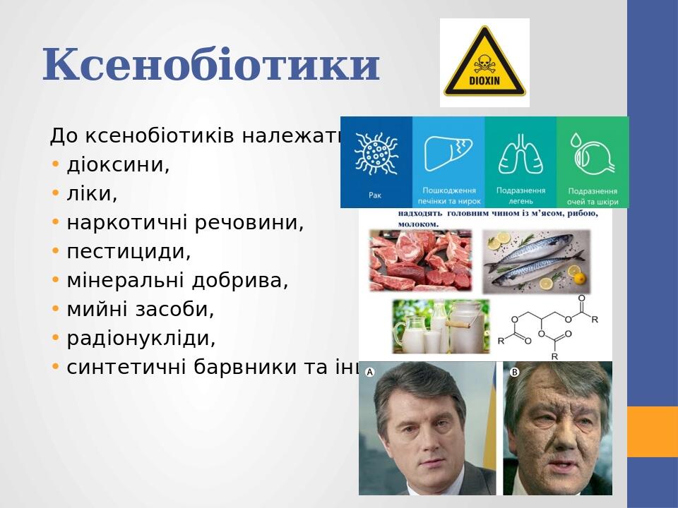 Ксенобіотики До ксенобіотиків належать діоксини, ліки, наркотичні речовини, пестициди, мінеральні добрива, мийні засоби, радіонукліди, синтетичні б...