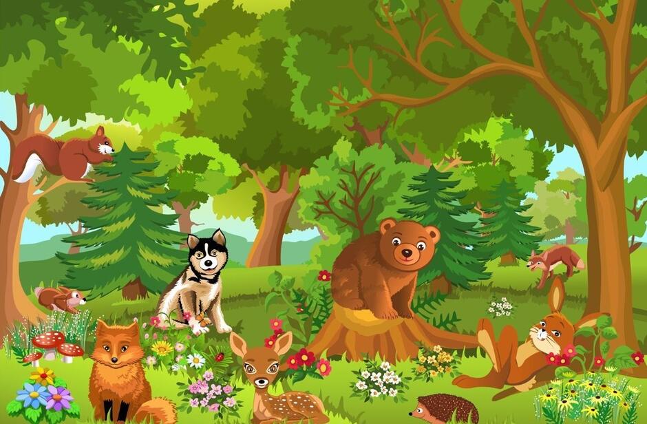 02011drs-5b35-940x616.jpg