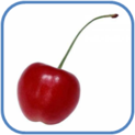 02011dsw-4b01-123x123.png