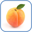 02011dsx-1a16-129x129.png