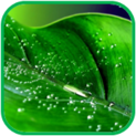 02011dwk-7118-123x123.png