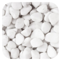 02011dwl-209f-123x123.png