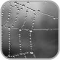 02011dwq-b68b-123x122.png