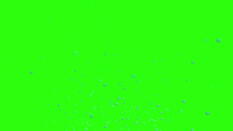 Air Bubbles Rising from the Stock Footage Video (100% Royalty-free) 1036168976 | Shutterstock