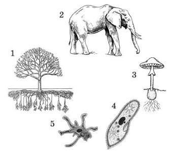 02011f02-078d-335x307.png