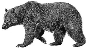 02011f08-3c4e-279x166.png