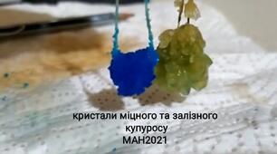 Наукова робота "Порівняння швидкості росту кристалів"