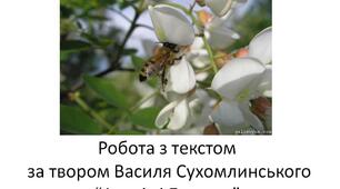 Робота з текстом за твором Василя Сухомлинського“Акація і Бджола”, 2-3 клас, українська мова та література 