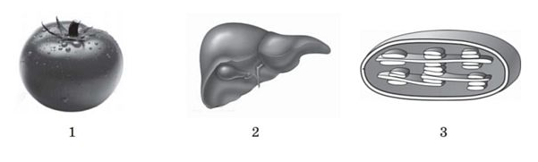 02011fco-7f74-601x181.png