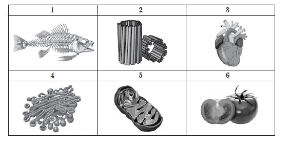 02011fd8-f3c2-563x280.png