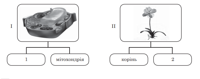 02011fdw-f7ea-647x258.png