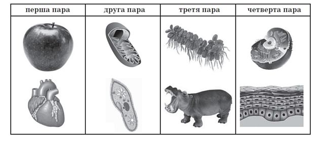 02011fe8-55a5-651x289.png