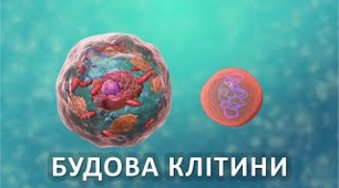 Будова клітини