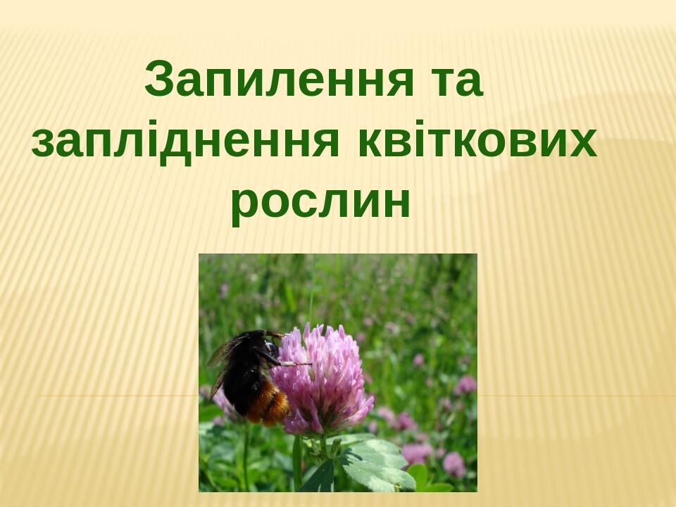 Запилення та запліднення квіткових рослин