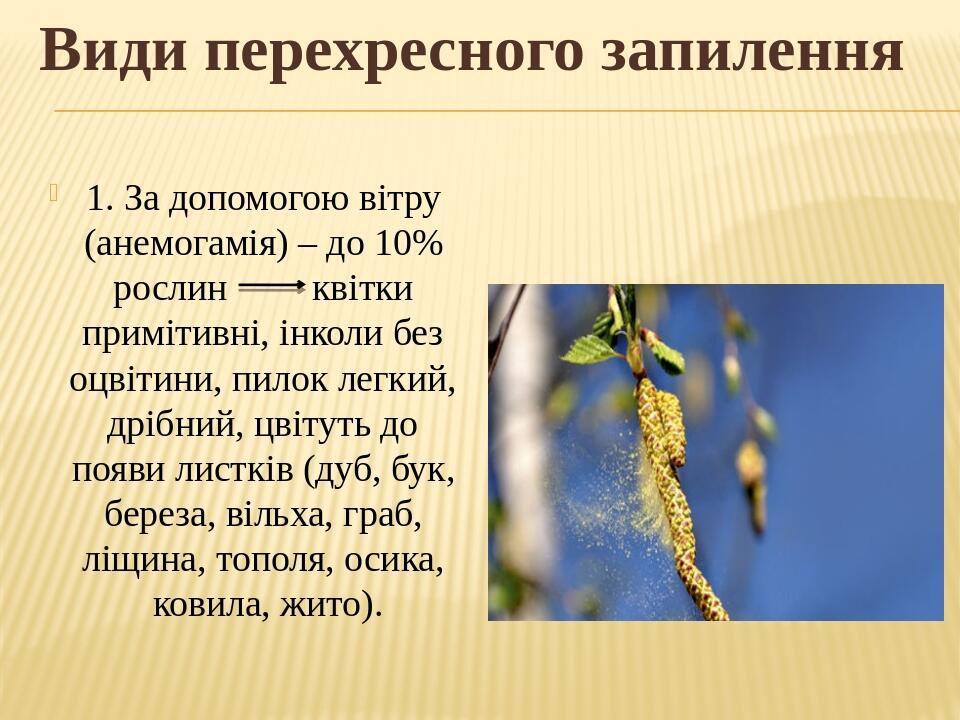 Види перехресного запилення 1. За допомогою вітру (анемогамія) – до 10% рослин квітки примітивні, інколи без оцвітини, пилок легкий, дрібний, цвіту...