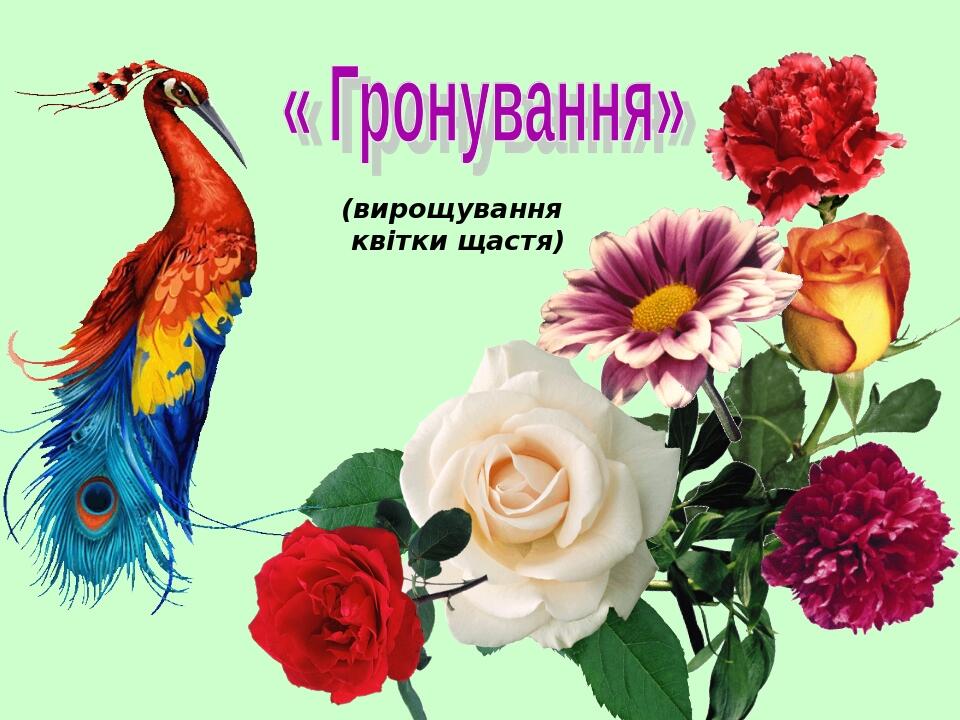 (вирощування квітки щастя)