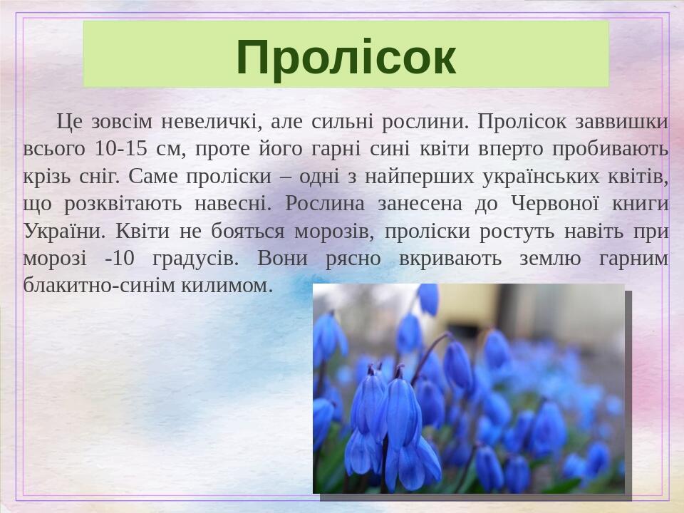 Презентація до уроку-тренінгу "Збережемо першоцвіти разом ...