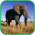 02011jrr-e7eb-123x123.png