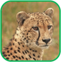 02011jrt-7b5e-122x123.png