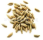 02011lzr-9962-86x80.png