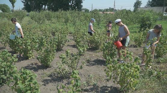 У школах та садочках Калинівської громади на Вінниччині заготовляють їжу на зиму