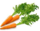 02011m0p-0d26-80x63.png