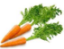 02011m0r-5795-71x55.png