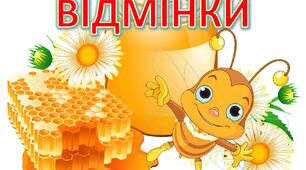 Ілюстративний матеріал «Відмінки з бджілками»