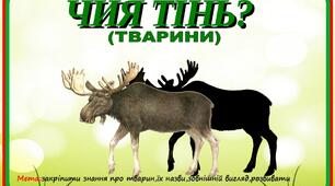 Гра на липучках "Чия тінь?"(тварини)