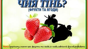 Гра на липучках "Чия тінь?"(фрукти та ягоди)