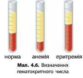 http://narodna-osvita.com.ua/uploads/zholos-8-bio/zholos-8-bio-71.jpg
