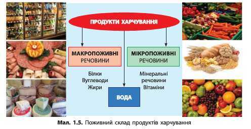 http://narodna-osvita.com.ua/uploads/zholos-8-bio/zholos-8-bio-18.jpg