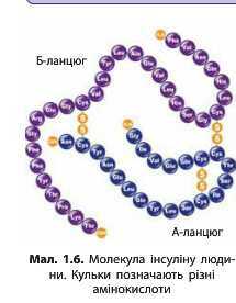 http://narodna-osvita.com.ua/uploads/zholos-8-bio/zholos-8-bio-20.jpg