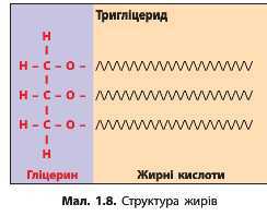 http://narodna-osvita.com.ua/uploads/zholos-8-bio/zholos-8-bio-21.jpg
