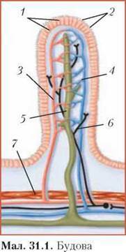 http://subject.com.ua/textbook/biology/9klas/9klas.files/image089.jpg