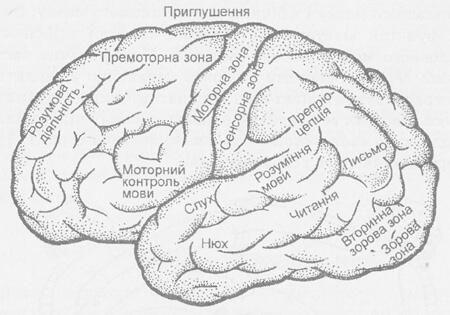 http://subject.com.ua/biology/shans/110.jpg