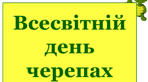 Презентація "Всесвітній день черепахи",
