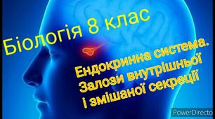 Залози внутрішньої секреції. Гормони