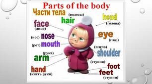 Презентація Animals. Body parts.
