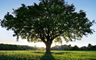 02011uz4-7793-96x60.png