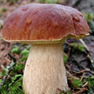 02011uz6-2325-94x94.png