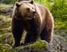 02011uz7-4541-98x76.png