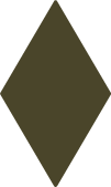 02011vag-9f39-101x169.png