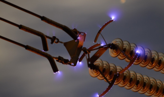 02011wkh-f6b3-337x200.png