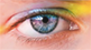 image3.png