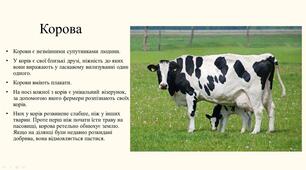 Презентація на тему  "Тварини,комахи, риби, птахи"