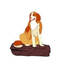 Dog On A Log