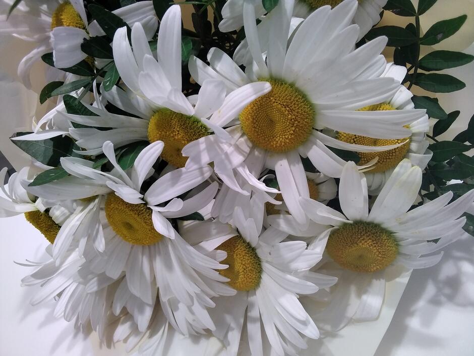 02011y0q-ba21-940x705.jpg